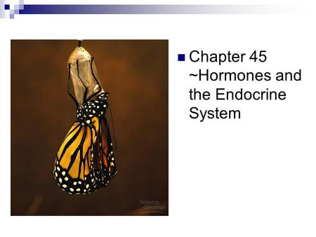 Chapter 45 ~Hormones and the Endocrine System. Endocrine and Nervous System Regulation Nervous system - Electrical signals - Fast acting for immediate.