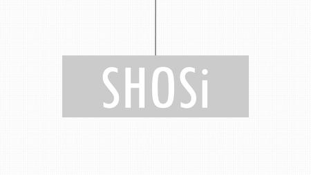 SHOSi. COMPANY DESCRIPTION Company History and Ownership Online shopping was boring and anti-social. Wanted to make it fun and social like real world.