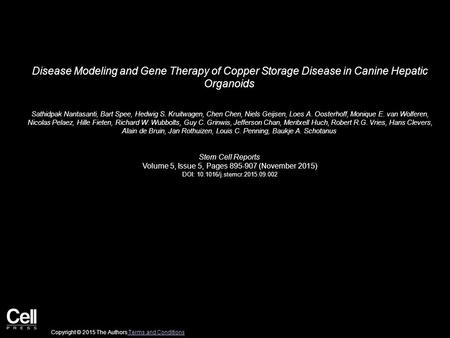 Disease Modeling and Gene Therapy of Copper Storage Disease in Canine Hepatic Organoids Sathidpak Nantasanti, Bart Spee, Hedwig S. Kruitwagen, Chen Chen,