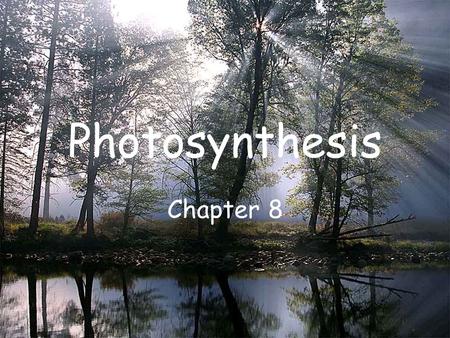 Photosynthesis Chapter 8. Energy and Life Section 8-1.