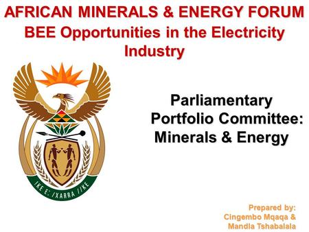 AFRICAN MINERALS & ENERGY FORUM BEE Opportunities in the Electricity Industry Parliamentary Portfolio Committee: Minerals & Energy Prepared by: Cingembo.