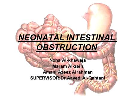 NEONATAL INTESTINAL OBSTRUCTION Noha Al-khawaja Maram Al-zein Amani Azeez Alrahman SUPERVISOR:Dr.Aayed Al-Qahtani.