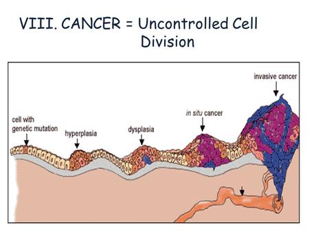 VIII. CANCER = Uncontrolled Cell Division. Celebs with Cancer.