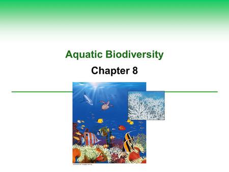 Aquatic Biodiversity Chapter 8. Core Case Study: Why Should We Care about Coral Reefs?  Biodiversity  Formation  Important ecological and economic.