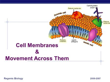 Regents Biology 2006-2007 Cell Membranes & Movement Across Them.