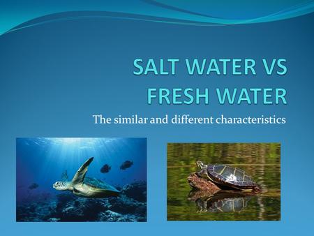 SALT WATER VS FRESH WATER
