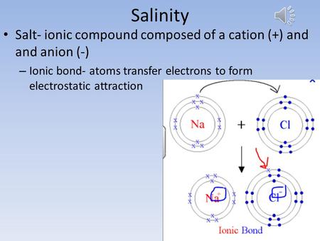 Salinity Salt- ionic compound composed of a cation (+) and and anion (-) – Ionic bond- atoms transfer electrons to form electrostatic attraction.