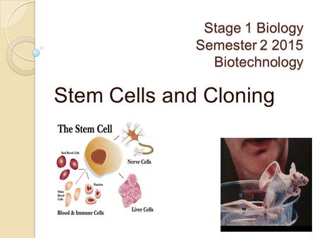 Stage 1 Biology Semester Biotechnology