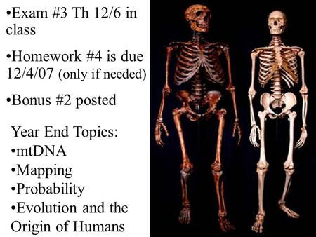 Exam #3 Th 12/6 in class Homework #4 is due 12/4/07 (only if needed) Bonus #2 posted Year End Topics: mtDNA Mapping Probability Evolution and the Origin.