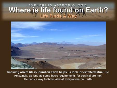 Where is life found on Earth? E X P L O R I N G A S T R O B I O L O G Y: Life Finds A Way Knowing where life is found on Earth helps us look for extraterrestrial.