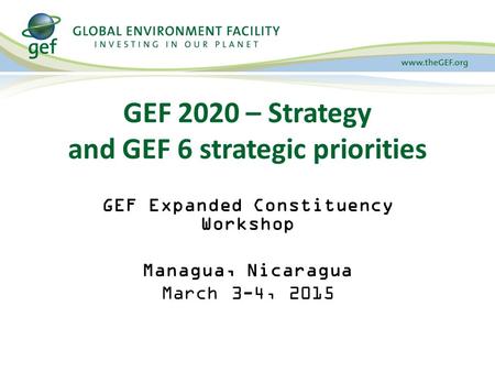 GEF 2020 – Strategy and GEF 6 strategic priorities