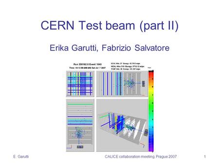 E. GaruttiCALICE collaboration meeting, Prague 20071 CERN Test beam (part II) Erika Garutti, Fabrizio Salvatore.