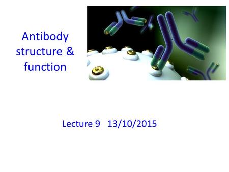 Antibody structure & function Lecture 9 13/10/2015.