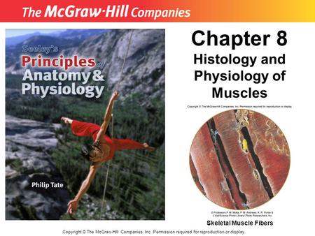 Copyright © The McGraw-Hill Companies, Inc. Permission required for reproduction or display. Chapter 8 Histology and Physiology of Muscles Skeletal Muscle.