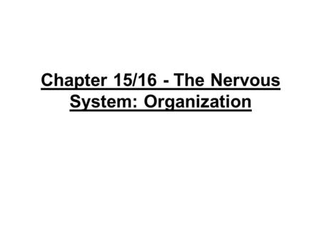 Chapter 15/16 - The Nervous System: Organization.