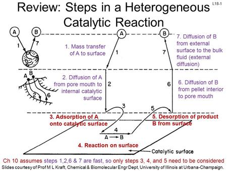 Review: Steps in a Heterogeneous Catalytic Reaction