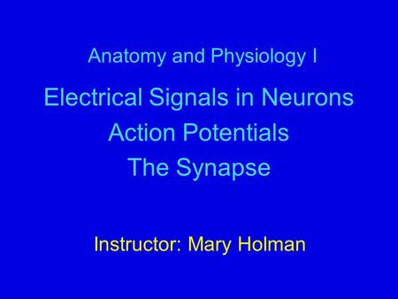 Anatomy and Physiology I Electrical Signals in Neurons Action Potentials The Synapse Instructor: Mary Holman.