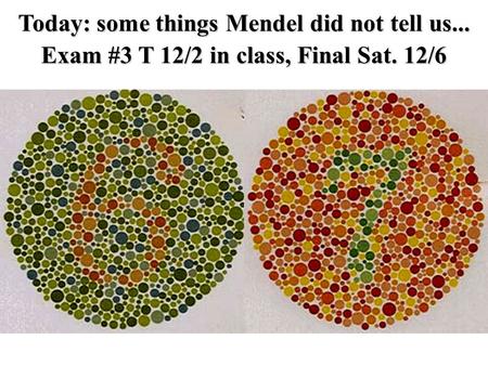 Today: some things Mendel did not tell us... Exam #3 T 12/2 in class, Final Sat. 12/6.