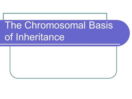 The Chromosomal Basis of Inheritance. Chromosomal Theory of Inheritance Genes are physically located at loci on chromosomes Additionally, it is chromosomes.