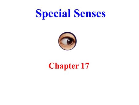 Special Senses Chapter 17. The Special Senses Smell, taste, vision, hearing and equilibrium Housed in complex sensory organs Ophthalmology is science.