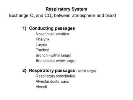 Respiratory System Exchange O 2 and CO 2 between atmosphere and blood 1)Conducting passages Nose/ nasal cavities Pharynx Larynx Trachea Bronchi (within.