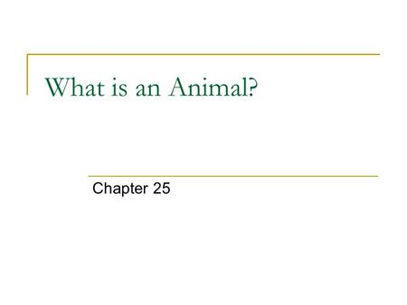 What is an Animal? Chapter 25. Characteristics of Animals Animals obtain food  Sessile – Organisms that are permanently attached to a surface  Sessile.