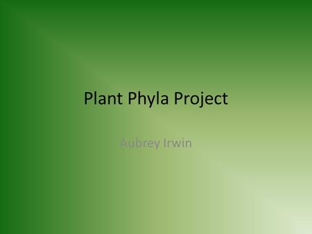 Plant Phyla Project Aubrey Irwin. Bryophyta Common Name: Mosses Major Group: Seedless Nonvascular Characteristics: Grow close to ground, absorb water.
