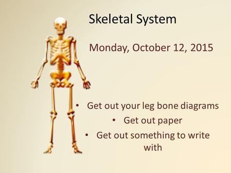 Skeletal System Monday, October 12, 2015