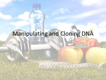 Manipulating and Cloning DNA. Being Healthy Type 1 diabetes Type 2 diabetes How can you help these individuals?