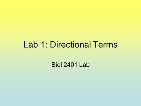 Lab 1: Directional Terms Biol 2401 Lab. Levels of Organization.