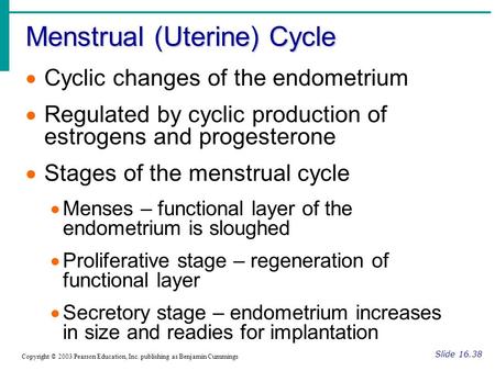 Menstrual (Uterine) Cycle Slide 16.38 Copyright © 2003 Pearson Education, Inc. publishing as Benjamin Cummings  Cyclic changes of the endometrium  Regulated.