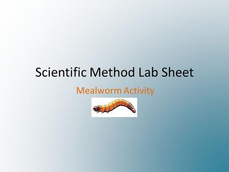 Scientific Method Lab Sheet Mealworm Activity. Problem/ Purpose/ Question What are you trying to discover? Write one question about mealworms that you.