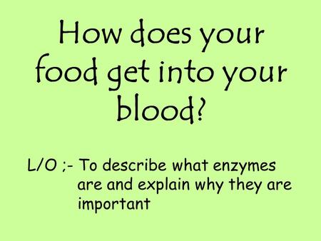 How does your food get into your blood?
