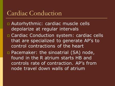 Cardiac Conduction  Autorhythmic: cardiac muscle cells depolarize at regular intervals  Cardiac Conduction system: cardiac cells that are specialized.