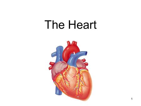 1 The Heart. Heart Anatomy & Basic Function (1) Cardiovascular Function Cardiovascular = Heart, Arteries, Veins, Blood Function:Function: –Transportation.