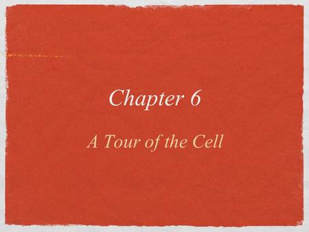 A Tour of the Cell Chapter 6. Overview: The Importance of Cells  Cell Theory: All organisms are made of cells  The cell is the simplest collection of.