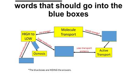 BELL WORK: Write down the words that should go into the blue boxes Molecule Transport HIGH to LOW LOW to HIGH Diffusion Facilitated Diffusion Osmosis Active.
