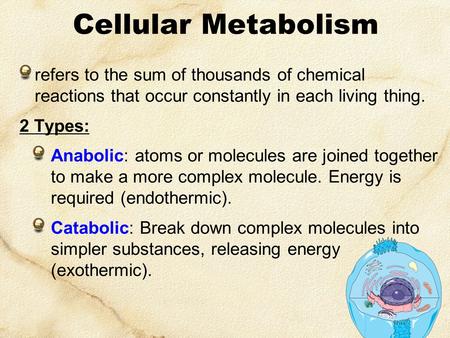 Cellular Metabolism refers to the sum of thousands of chemical reactions that occur constantly in each living thing. 2 Types: Anabolic: atoms or molecules.