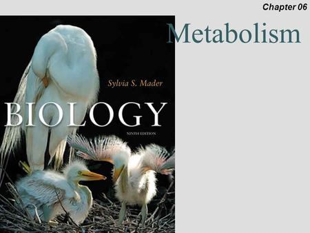 Metabolism Chapter 06. Outline 6.1 (p.102-103) Forms of Energy ▫Laws of Thermodynamics 6.2 (p.104-105) Metabolic Reactions ▫ATP 6.3 (106-111) Metabolic.