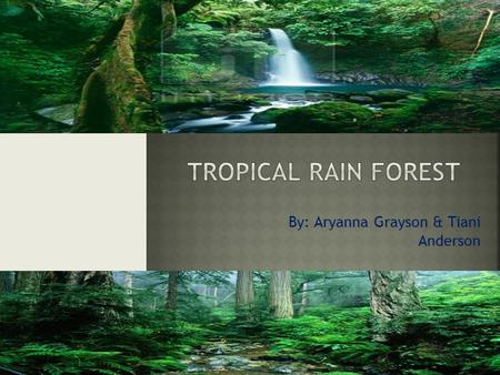By: Aryanna Grayson & Tiani Anderson.  A tropical rainforest is a biome type that occurs roughly within the latitudes 28 degrees north or south of the.