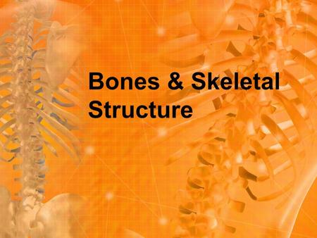 Bones & Skeletal Structure. Bones are a type of hard endoskeleton found in all vertebrates. Bones give bodies their structure and protect internal organs.