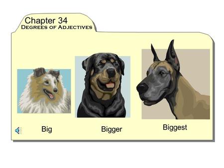 Chapter 34 Degrees of Adjectives Biggest Big Bigger.