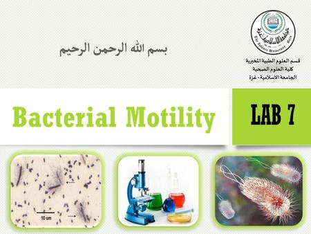  The ability of an organism to move by itself is called motility.  Motility is closely linked with chemotaxis, the ability to orientate along certain.