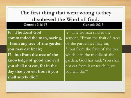 The first thing that went wrong is they disobeyed the Word of God. Genesis 2:16-17Genesis 3:2-3 16. The Lord God commanded the man, saying, “From any tree.