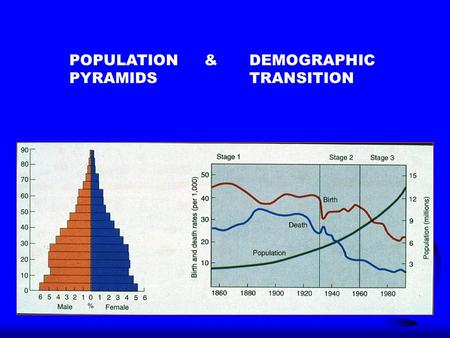 POPULATION & DEMOGRAPHIC PYRAMIDSTRANSITION. Demographic Transition - Stage 1 F Demographic Transition - the change in population characteristics of a.