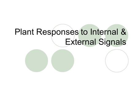 Plant Responses to Internal & External Signals. Plant Hormones Hormones are chemical signals that coordinate the various parts of an organism  A hormone.