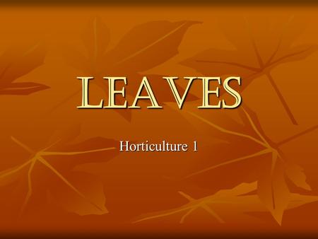 Leaves Horticulture 1 What are the functions of leaves? Capture light Capture light Exchange gases Exchange gases Provide a site for photosynthesis Provide.