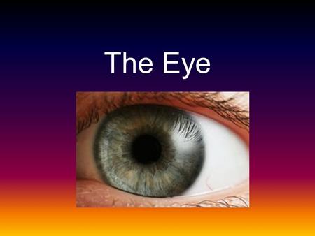 The Eye. The eye is an organ that can detect light and convert sit into a electro- chemical impulse that is transferred to the brain.