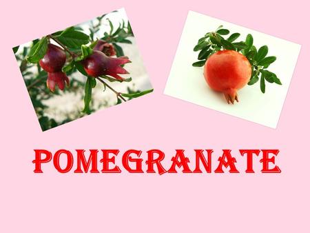 POMEGRANATE. Pomegranate is a popular exotic fruit whose origins are from the Middle East and Asia.