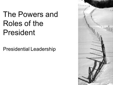 The Powers and Roles of the President Presidential Leadership.